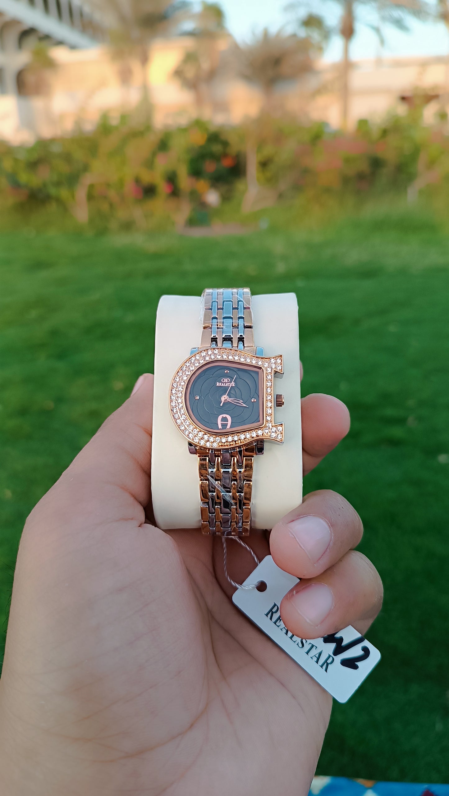 REALSTAR WOMEN WATCH (W2)